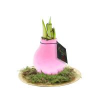 Pastel roze