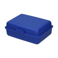 standaard blauw PP