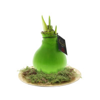lichtgroen