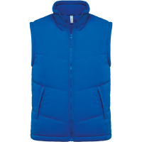 Light Royal Blue