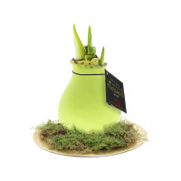 Pastel groen