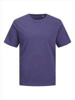 Skipper Blue