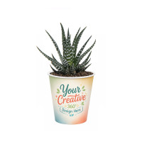 Easy care mix
