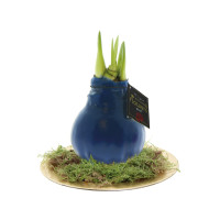 Donkerblauw