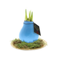 Pastel blauw